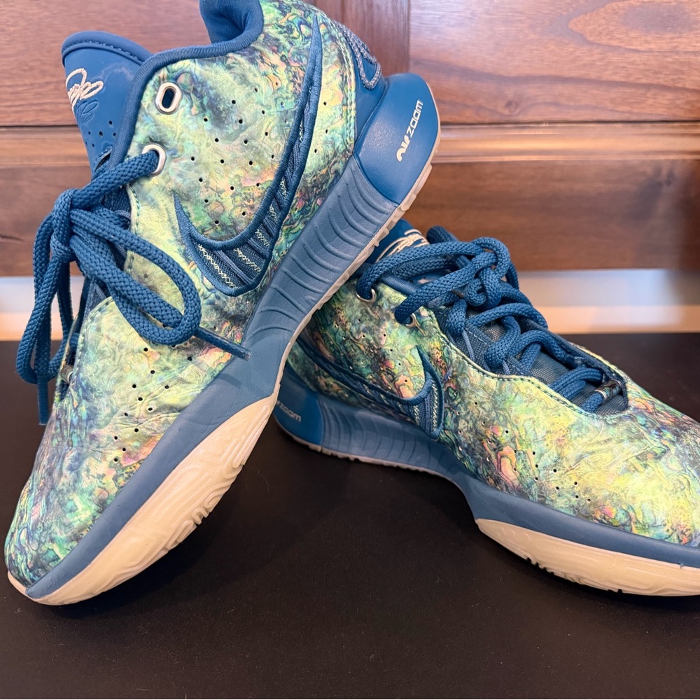 Nike Labron basketball Sneakers